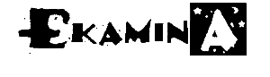 eKamina - Logo